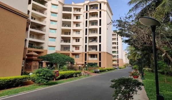 Featured Image of Prestige Olive Oak Green Building